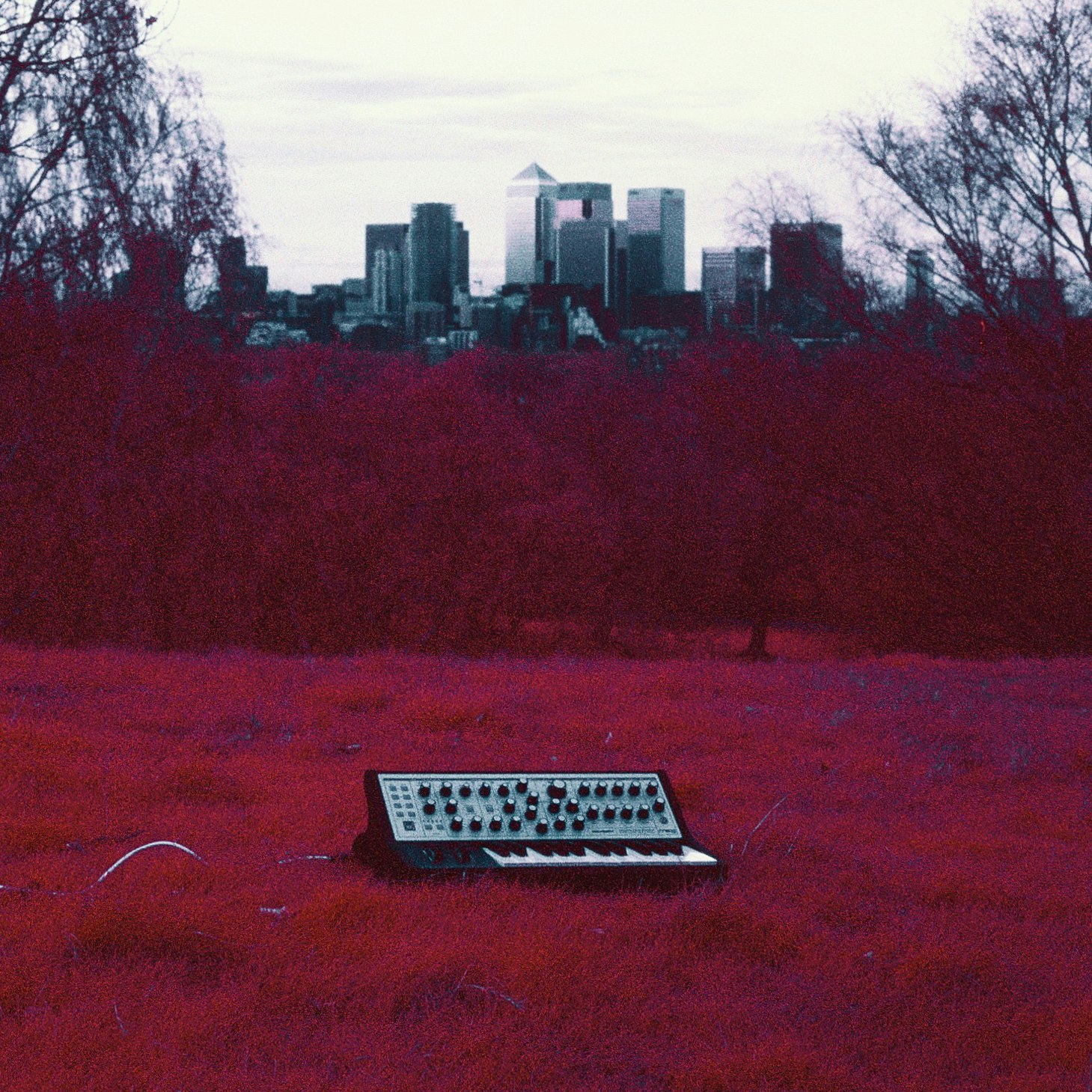 Wax poetics